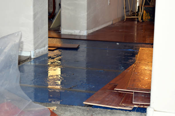 Professional Basement Water Removal technician working in Linden, CA